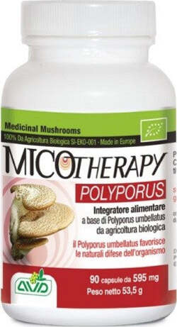 MICOTHERAPY-POLYPORUS-90-CAPSULE