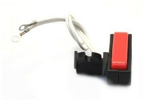Micro Interruttore Originale per Ferro da Stiro professionale F900