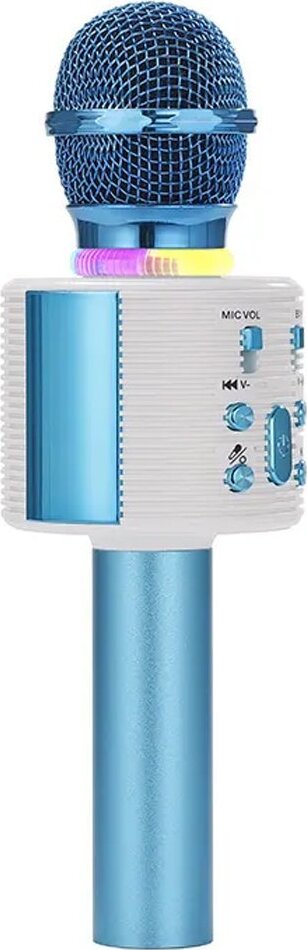 Microfono Giocattolo Portatile Wireless HiFi Speaker Radio FM USB TF Card