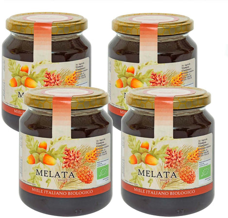 Miele Artigianale Biologico Melata 250g