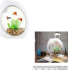 Mini-Acquario-Completo-Q3-Capacita'-6.5-Litri-Potenza-2.6w-Led-Incorporata
