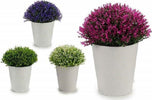 Mini Vaso Bianco Fiori Artificiali Colorati 15x15x15cm Piantina Pianta Appendere Casa e cucina/Decorazioni per interni/Piante e fiori artificiali/Piante artificiali Trade Shop italia - Napoli, Commerciovirtuoso.it