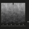 Pannello 159x270cm di Carta da Parati TNT a modulo raccordabile continuativo Voyager FLOWERBW