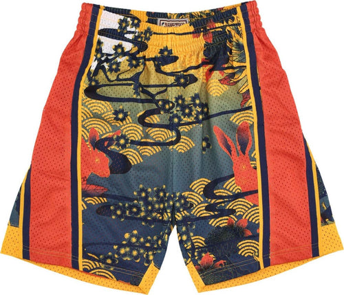 MITCHELL-&-NESS-Pantaloncino-Basket-Uomo-Nba-Ah-Swingman-Short-5.0-Hardwood-Classics-2009-Golwar-Yellow/blue-da-uomo