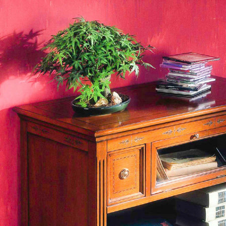 MOBILI-2G---PORTA-TV-CLASSICO-IN-LEGNO-2-CASSETTI-1-RIBALTA-FINITURA-BASSANO-L.100-P.51-H.75
