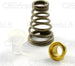 Molla,-Gommino,-Anello