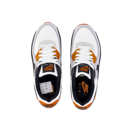 Nike Scarpa Bassa Uomo Air Max 90 Pure Platinum/summit White/black/monarch da uomo