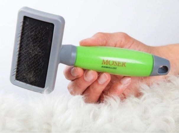 Moser-Spazzola-Cardatrice-Media-Manico-Gel-7065