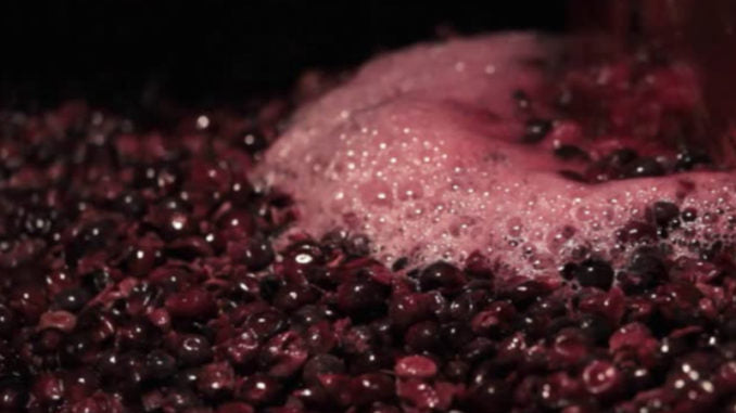Mastello in plastica a due manici senza fori per mosto del vino e agricoltura nero