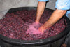 Mastellone Sottotino in plastica per masto del vino e agricoltura senza fori