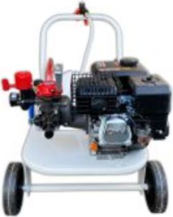 Motopompa irroratrice con motore 4T e carrello avvolgitubo a benzina Giardino e giardinaggio/Decorazioni per il giardino/Stagni e giardini acquatici/Pompe/Pompe ad alta pressione La Zappa - Altamura, Commerciovirtuoso.it