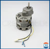 Motore-per-N1203-Succovivo-SJ2000