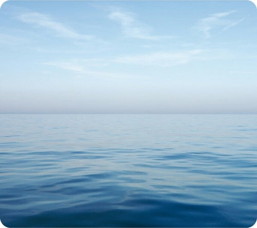 Mousepad Earth Series - Oceano - ecologico - Fellowes Elettronica/Informatica/Accessori/Tastiere Mouse e periferiche di input/Accessori per tastiere e Mouse/Tappetini per il Mouse Eurocartuccia - Pavullo, Commerciovirtuoso.it