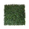 Mattonella Dicondra da parete, color verde da 50 x 50 cm