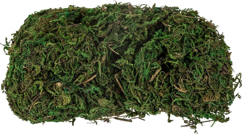 Muschio in bustine per presepe decorazione natalizia da 100 g Casa e cucina/Decorazioni per interni/Addobbi e decorazioni per ricorrenze/Decorazioni natalizie/Presepi/Statuine e fondali per il presepe MagiediNatale.it - Altamura, Commerciovirtuoso.it