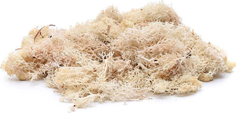 Muschio in bustine per presepe decorazione natalizia da 100 g Casa e cucina/Decorazioni per interni/Addobbi e decorazioni per ricorrenze/Decorazioni natalizie/Presepi/Statuine e fondali per il presepe MagiediNatale.it - Altamura, Commerciovirtuoso.it