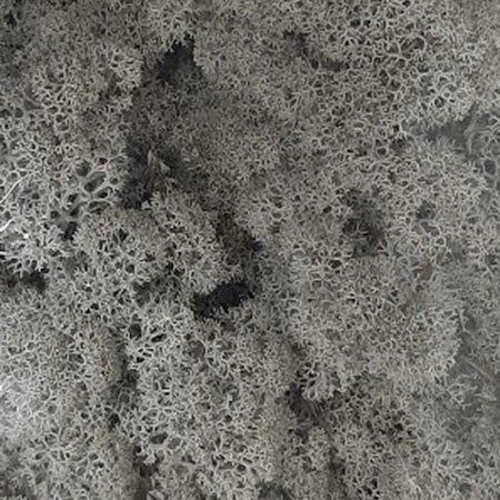 Muschio-lichene-decorativo-per-villaggio-di-Natale-e-presepe