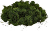 Muschio lichene tappeto naturale per presepe decorazione natalizia da 1kg Casa e cucina/Decorazioni per interni/Addobbi e decorazioni per ricorrenze/Decorazioni natalizie/Presepi/Statuine e fondali per il presepe MagiediNatale.it - Altamura, Commerciovirtuoso.it
