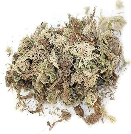 Muschio naturale verde per presepe natalizio, busta da 15/20 grammi Casa e cucina/Decorazioni per interni/Addobbi e decorazioni per ricorrenze/Decorazioni natalizie/Presepi/Statuine e fondali per il presepe MagiediNatale.it - Altamura, Commerciovirtuoso.it