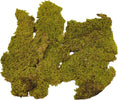 Muschio secco tappeto naturale per presepe 250 gr decorazione natalizia Casa e cucina/Decorazioni per interni/Addobbi e decorazioni per ricorrenze/Decorazioni natalizie/Presepi/Statuine e fondali per il presepe MagiediNatale.it - Altamura, Commerciovirtuoso.it
