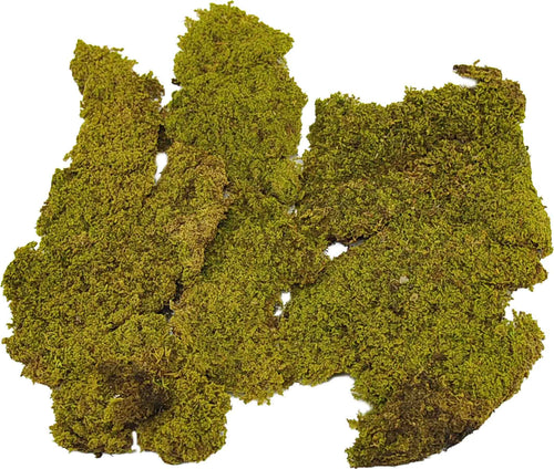 Muschio secco tappeto naturale per presepe 250 gr decorazione natalizia Casa e cucina/Decorazioni per interni/Addobbi e decorazioni per ricorrenze/Decorazioni natalizie/Presepi/Statuine e fondali per il presepe MagiediNatale.it - Altamura, Commerciovirtuoso.it