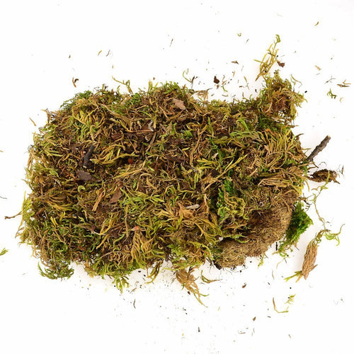 Muschio decorativo per villaggio di Natale e presepe 30 g