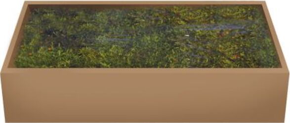 Muschio Verde in scatola tappeto naturale per villaggio natalizio 500 g Casa e cucina/Decorazioni per interni/Addobbi e decorazioni per ricorrenze/Decorazioni natalizie/Presepi/Statuine e fondali per il presepe MagiediNatale.it - Altamura, Commerciovirtuoso.it