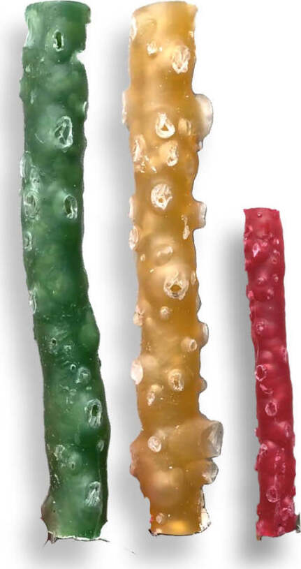 My Branch - BEST SELLER Dental Care rametto stick pulizia denti dental care dental stick vegetale biodegradabile Rametto stick pulizia denti dental care dental stick vegetale biodegradabile MY CIUFFOGATTO® per cani e gatti, Commerciovirtuoso.it