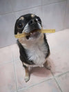 My Stick vegetale - dental care dental stick gioco vegetale masticabile biodegradabile per cani e gatti antistress Stick dental care dental stick gioco vegetale masticabile biodegradabile per cani e gatti antistress MY CIUFFOGATTO® per cani e gatti, Commerciovirtuoso.it