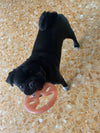 My Zampotto vegetale - zampa gioco vegetale masticabile biodegradabile per pulizia dentale Zampotto gioco vegetale educativo biodegradabile masticabile per cani e gatti MY CIUFFOGATTO® per cani e gatti, Commerciovirtuoso.it