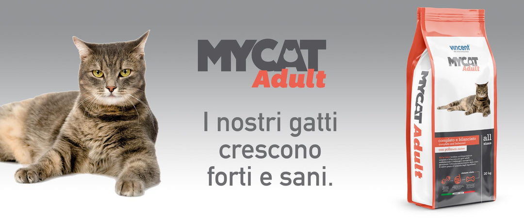 Crocchette Vincent per gatti My Diet 20 kg a base di carne, cereali e verdura.