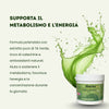 Tè Verde in Polvere con Taurina e Vitamina C - Tè Matcha – Antiossidante Naturale, Energizzante e Supporto Metabolico | 100% Puro 100gr - AlohaLabs