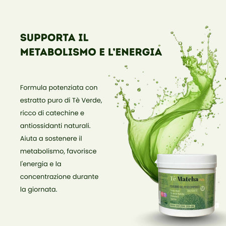 Tè Verde in Polvere con Taurina e Vitamina C - Tè Matcha – Antiossidante Naturale, Energizzante e Supporto Metabolico | 100% Puro 100gr - AlohaLabs