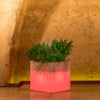 NAPPI---vaso-luminoso-rgb-con-pannello-solare-Multicolor-Milani-Home