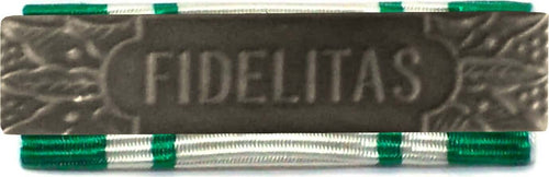 Nastrino Da Petto Per Croce Decorazione Anzianità 15 Anni Croce Rossa Italiana C.r.i. Sport e tempo libero/Accessori/Trofei medaglie e premi/Medaglie Il Distintivo - Pesaro, Commerciovirtuoso.it