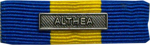 Nastrino Da Petto Per Decorazione Althea Sport e tempo libero/Accessori/Trofei medaglie e premi/Medaglie Il Distintivo - Pesaro, Commerciovirtuoso.it