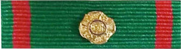 Nastrino Da Petto Ufficiale Repubblica per Uniforme Militare Sport e tempo libero/Accessori/Trofei medaglie e premi/Medaglie Il Distintivo - Pesaro, Commerciovirtuoso.it