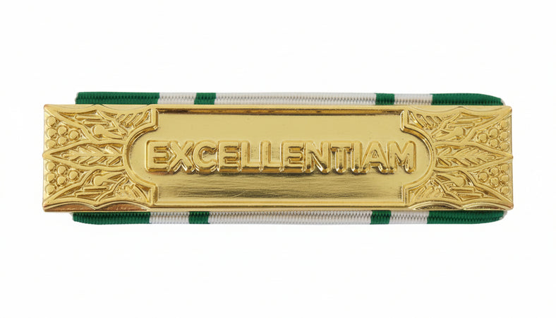 Anzianità 35 anni Croce Rossa Italiana - Nastro / nastrino / medaglia