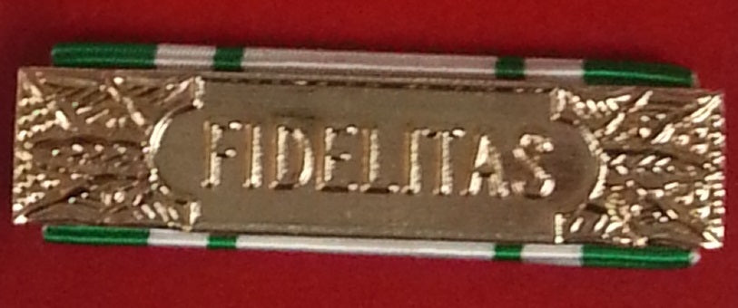 Anzianità 25 anni Croce Rossa Italiana - Nastro / nastrino / medaglia