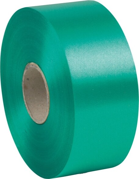 Nastro liscio 6800 - in polipropilene - 50mmx100mt - verde bandiera 09 - Brizzolari Casa e cucina/Decorazioni per interni/Addobbi e decorazioni per ricorrenze/Decorazioni natalizie/Fiocchi e nastri Eurocartuccia - Pavullo, Commerciovirtuoso.it