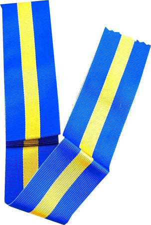 Nastro Per Medaglia Decorazione Althea Sport e tempo libero/Accessori/Trofei medaglie e premi/Medaglie Il Distintivo - Pesaro, Commerciovirtuoso.it