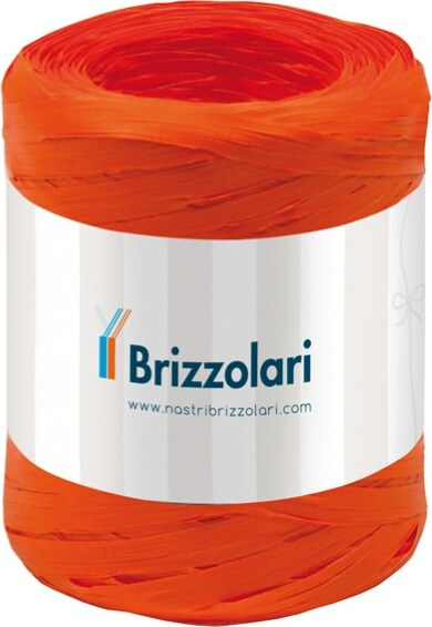 Nastro Rafia sintetica - arancione 12 - 5mmx200mt - Brizzolari Casa e cucina/Decorazioni per interni/Addobbi e decorazioni per ricorrenze/Decorazioni natalizie/Fiocchi e nastri Eurocartuccia - Pavullo, Commerciovirtuoso.it