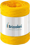 Nastro Rafia sintetica - giallo 02 - 5mmx200mt - Brizzolari Casa e cucina/Decorazioni per interni/Addobbi e decorazioni per ricorrenze/Decorazioni natalizie/Fiocchi e nastri Eurocartuccia - Pavullo, Commerciovirtuoso.it