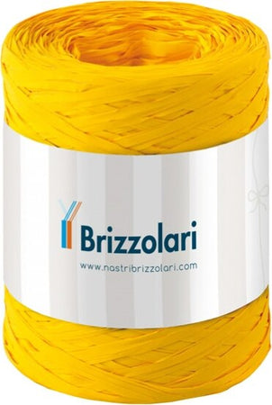 Nastro Rafia sintetica - giallo 02 - 5mmx200mt - Brizzolari Casa e cucina/Decorazioni per interni/Addobbi e decorazioni per ricorrenze/Decorazioni natalizie/Fiocchi e nastri Eurocartuccia - Pavullo, Commerciovirtuoso.it