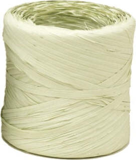Nastro Raphia Vintage - verde nilo 62 - 200mt - Bolis Casa e cucina/Decorazioni per interni/Addobbi e decorazioni per ricorrenze/Decorazioni natalizie/Fiocchi e nastri Eurocartuccia - Pavullo, Commerciovirtuoso.it