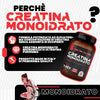 T-rex integratori creatina monoidrato micronizzata - integratore alimentare per massa muscolare e boost energetico pre workout (gusto neutro, 250g)