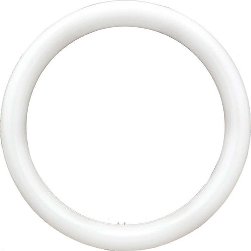 NEON CIRCOLARE DISCO LAMPADA CIRCOLINA LAMPADINA 32W G10Q 30CM 300MM LUCE FREDDA Illuminazione/Lampadine/Lampadine a LED Trade Shop italia - Napoli, Commerciovirtuoso.it