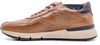 NERO GIARDINI Sneaker Uomo Cuoio Caffè