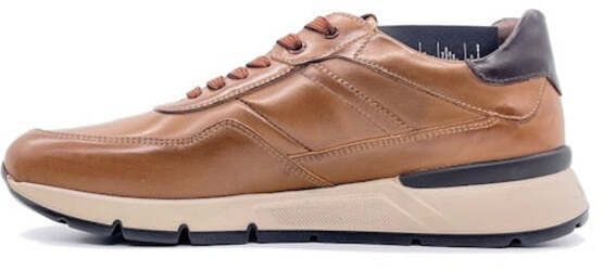 NERO GIARDINI Sneaker Uomo Cuoio Caffè