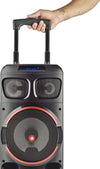 Ngs-Spekear-Trolley-Wilddubzero-Dj-Party-Microfono-Rgb-Tws-120w